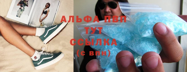 индика Ельня