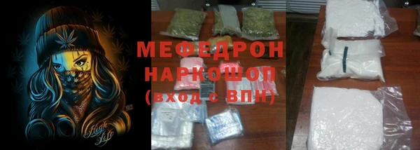 индика Ельня
