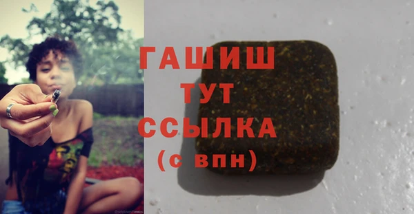 индика Ельня