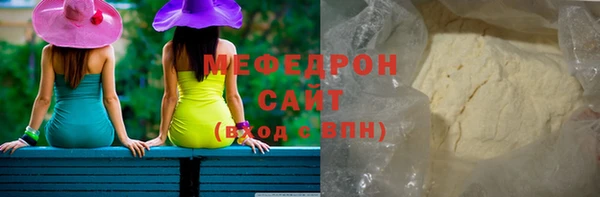 индика Ельня