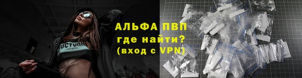 индика Ельня