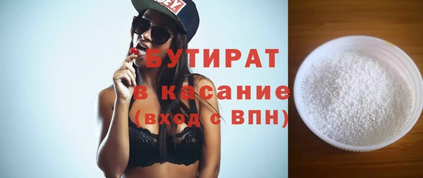 индика Ельня