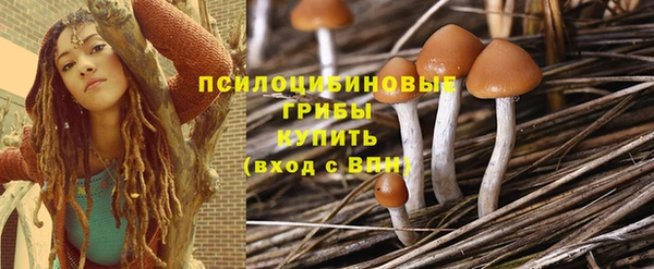 ешки Елизово