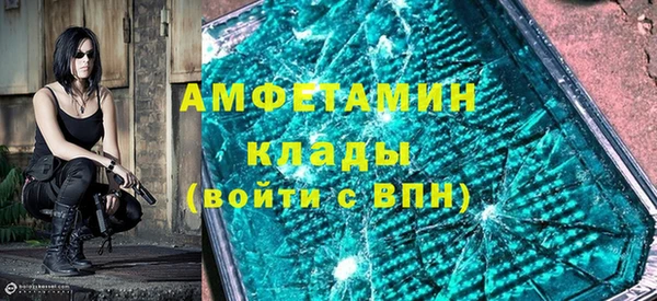 индика Ельня