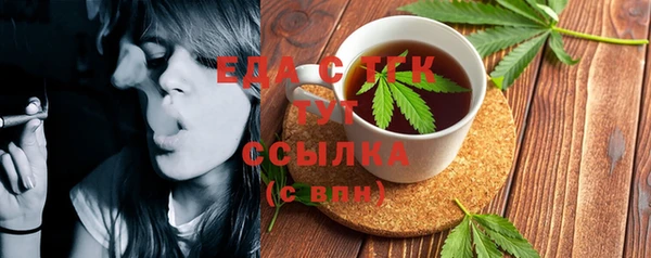 индика Ельня