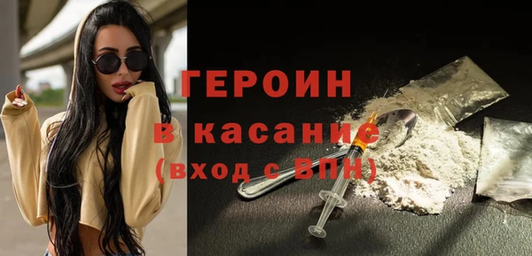 индика Ельня