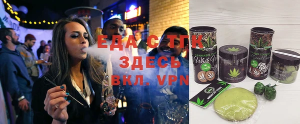 индика Ельня