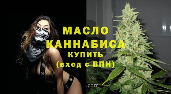 индика Ельня