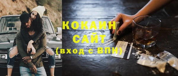 индика Ельня