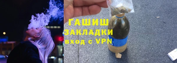 индика Ельня