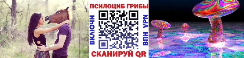площадка какой сайт  Злынка  Галлюциногенные грибы прущие грибы  цены наркотик 
